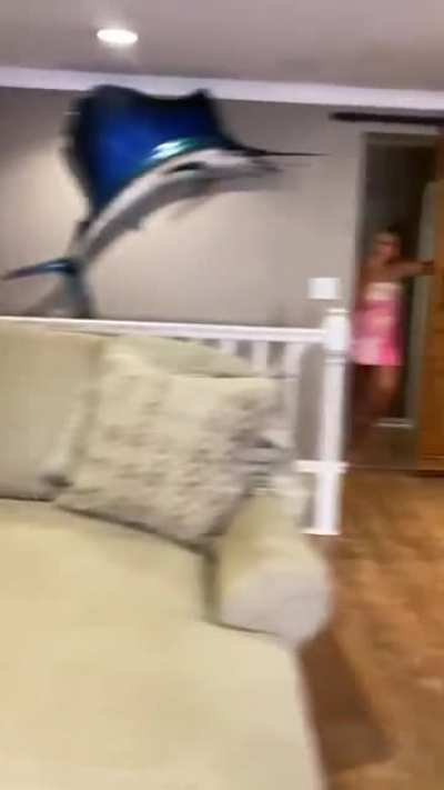 A TikTok my younger brother sent me.