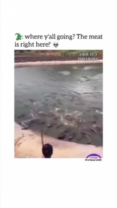AAAAAAAAAAAAAAAAAAAAAAAAAA
