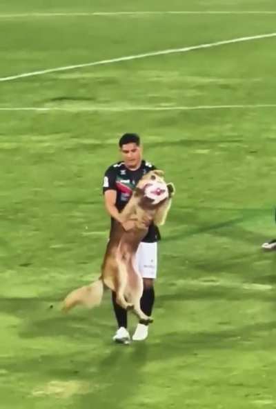 Time to PAWS the match