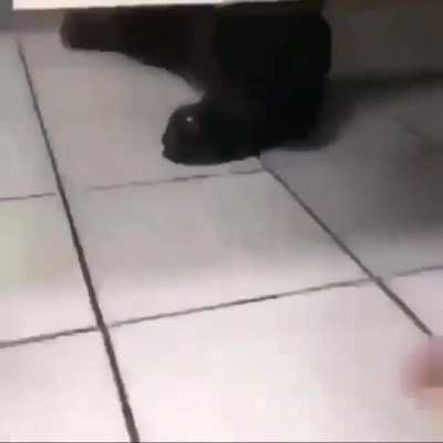 thought it was another pee prank