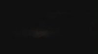 Bats illuminated by lightening