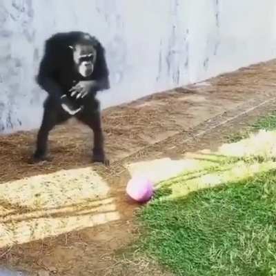 que esto sea lo primero que vea orsolk cuanto cuando regrese 🙏🙉😭