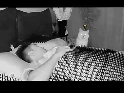 You never know what your pet will be doing while you sleep! ! !