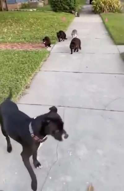 It's hard making friends these days