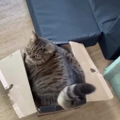 If I fit I sit