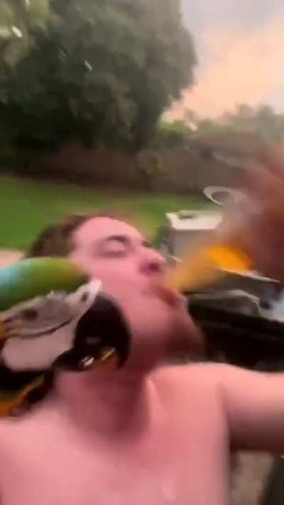u