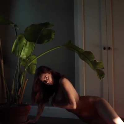 Under The Leaves