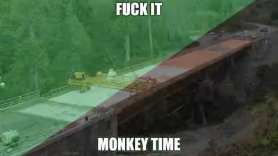 Fuck it. Gorila