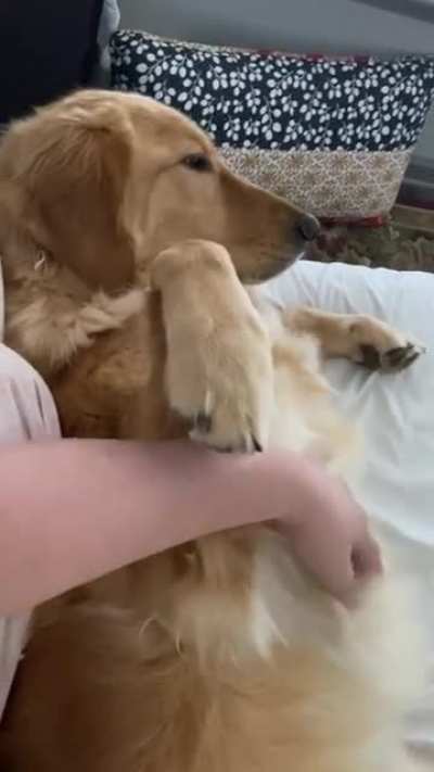 Did I say to stop?!