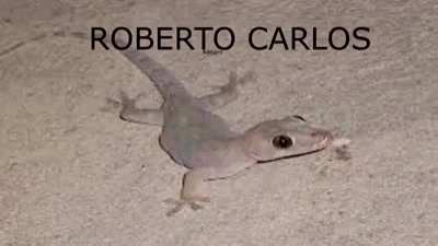 Esse meme foi de fuder...