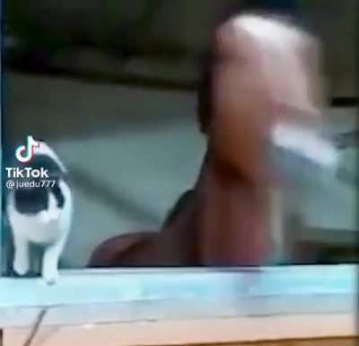 Blursed_Horse