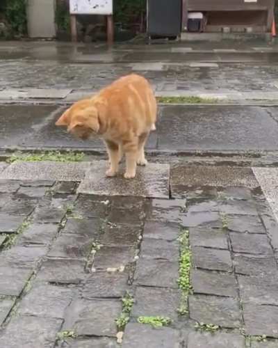 Плюх! Ловим отражение.
