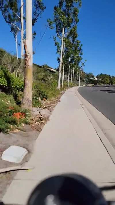 While ebiking