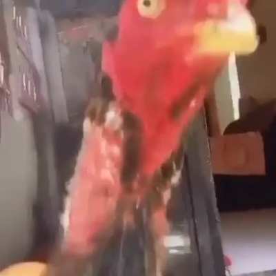 <(￣︶￣)↗
