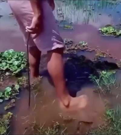 Maybe maybe maybe 