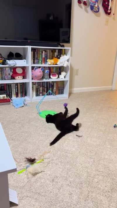 Playtime!