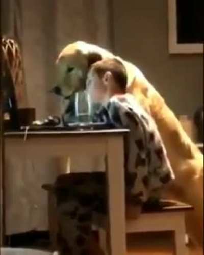 a kid and his dog