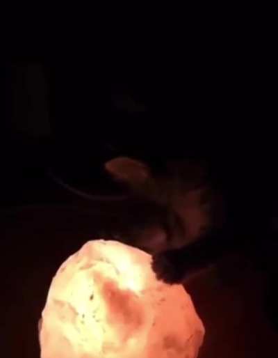 xen crystal