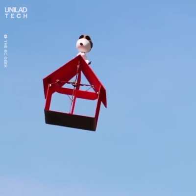Snoopy's flying house