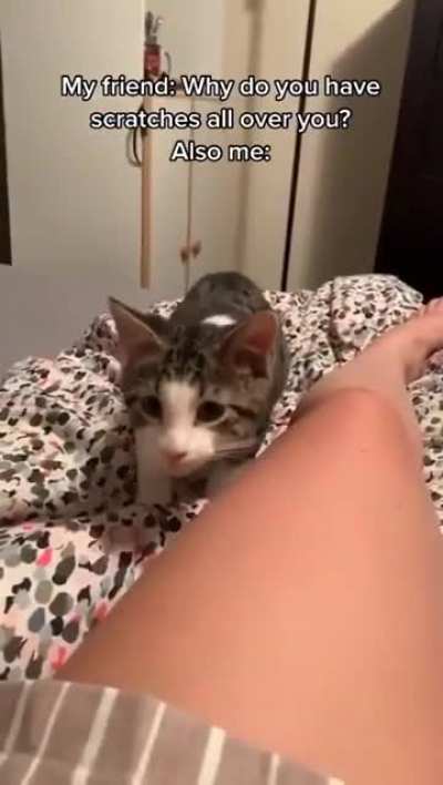 Awww