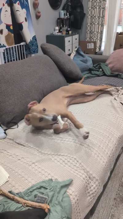 After I wouldn't let her bite me...