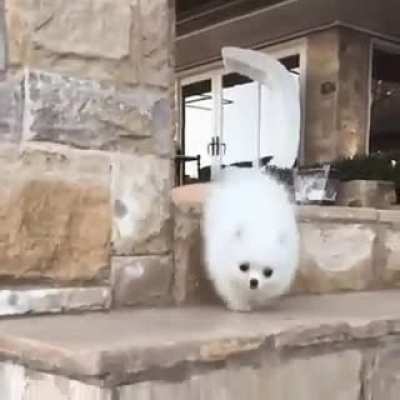 Baby steps