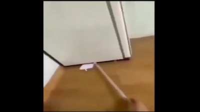 Unexpected