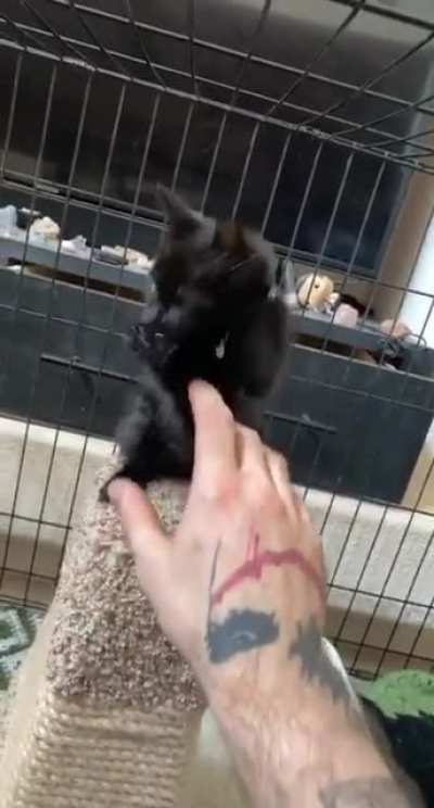 The smollest murder