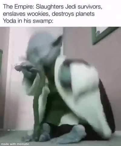 Yoda in his swamp is like