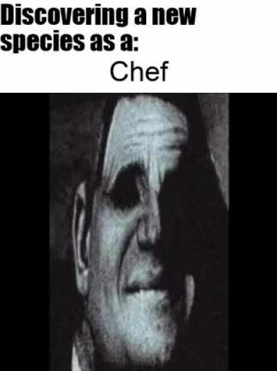 Rule