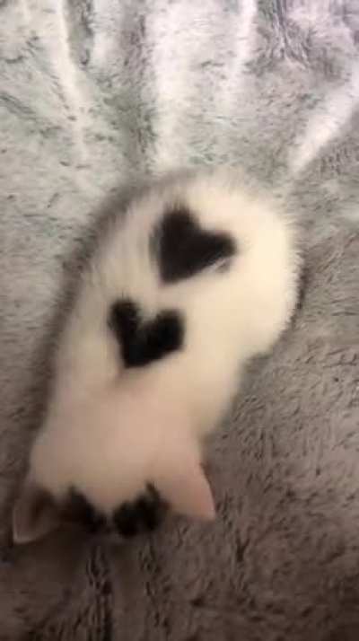 Hearts