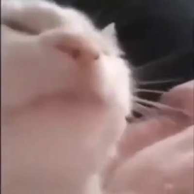 Ace Attorney players listening to Gumshoe's theme for the first time