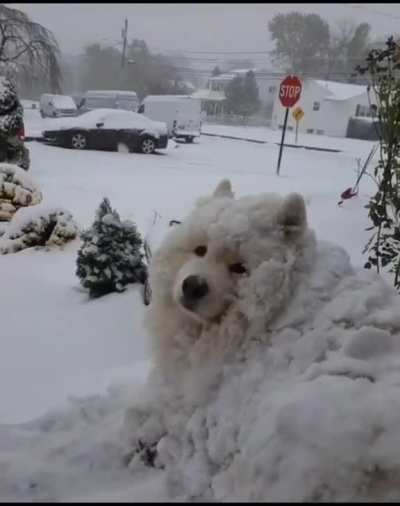 This Unit is not bothered by Snow