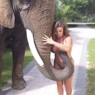 Smart Elephant...