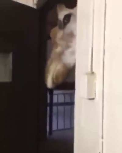 SFSFGJD XKDKJSB ! 
