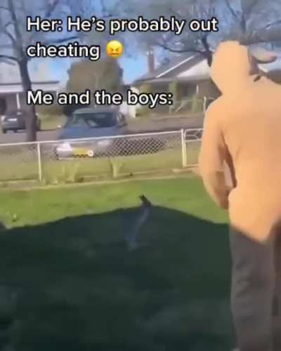 Kangaroo