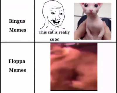 Sanırım floppa kazandı 🥺