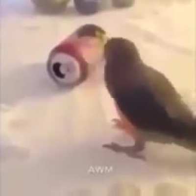 *dance*