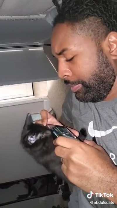 Just cats in general but here's a fabulous example