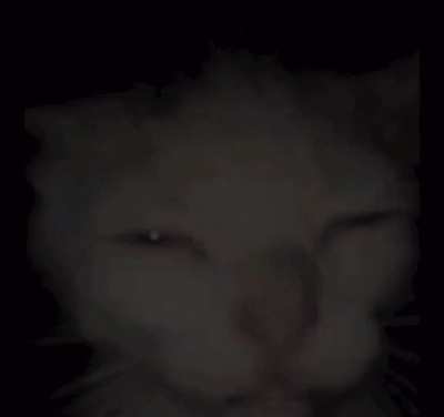 Squint 