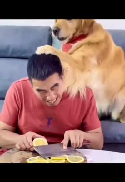 Dog attacking a 🔪 user