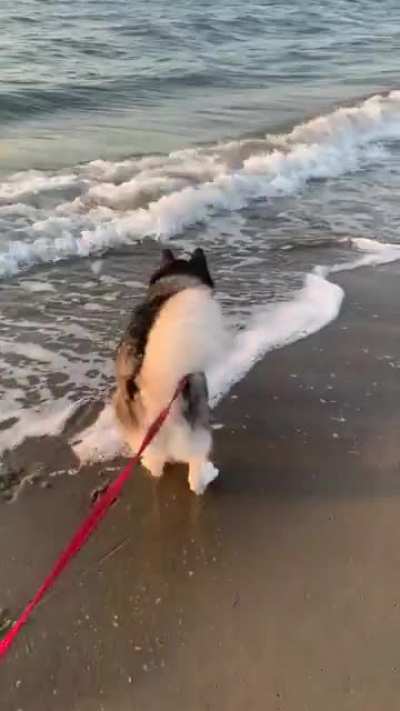 He got a little too excited 😆