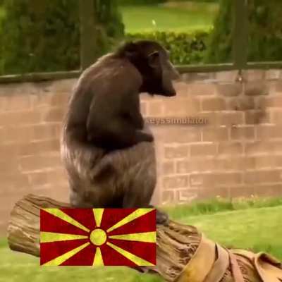 Monkeydonian motivation clip