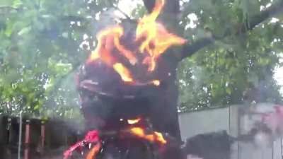 Cursed elmo
