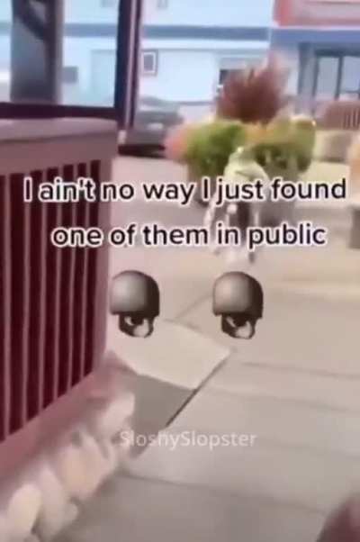 💀💀💀