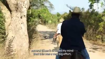 Meet the Farmers and Workers Running for Cuba’s National Assembly