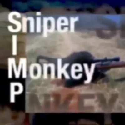 Monke