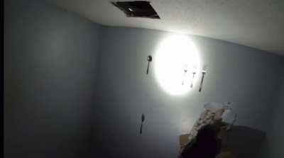 Fork Room