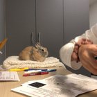 It is yet another exam season, which means more time lapse videos with Nigel