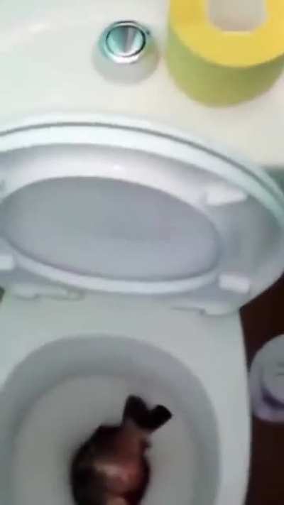 brb, need a leak
